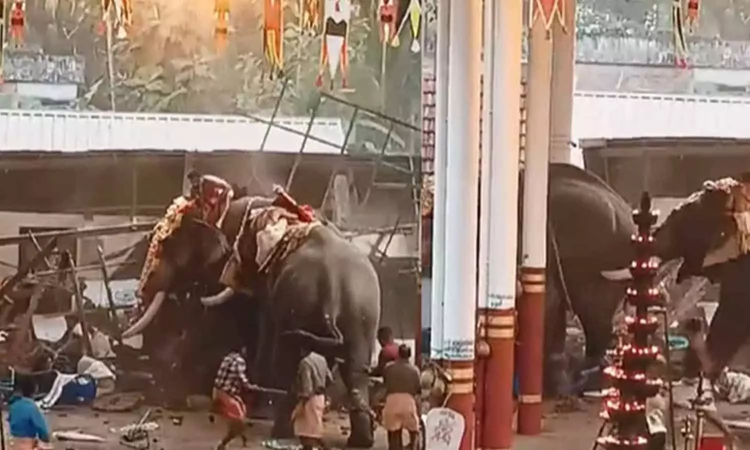 കൊയിലാണ്ടിയിൽ ആനയിടഞ്ഞ സംഭവത്തിൽ ആറ് പേരെ പ്രതിചേർത്ത് വനം വകുപ്പ് റിപ്പോർട്ട്