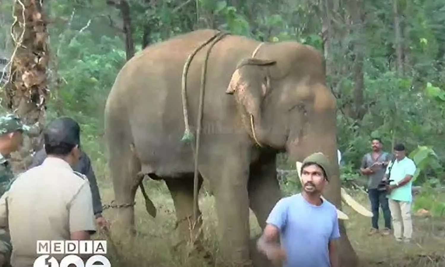 അതിരപ്പിള്ളിയിൽ മസ്തകത്തിൽ പരിക്കേറ്റ ആനയെ ചികിത്സിക്കുന്നതിനുള്ള ദൗത്യം തുടരും