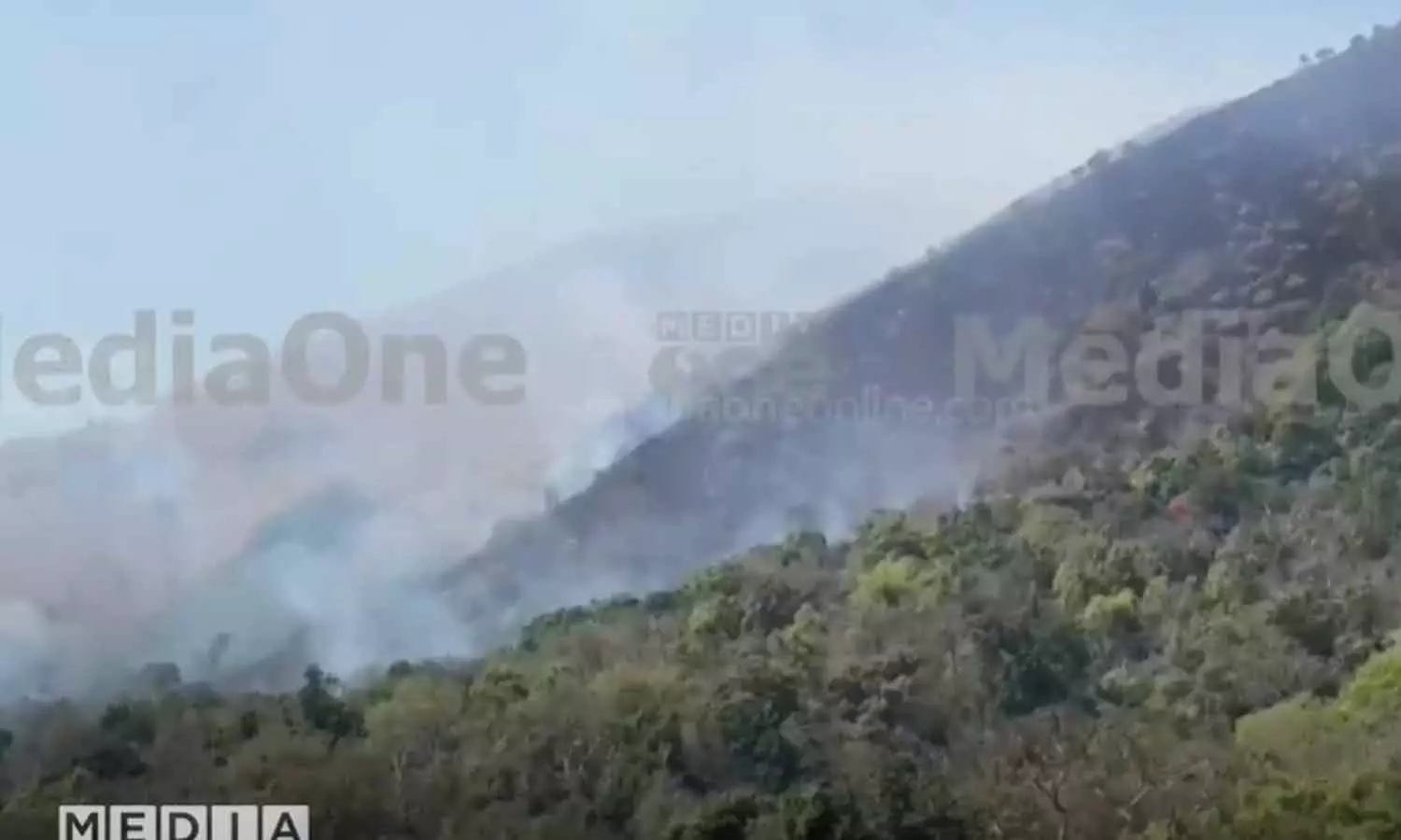 പഞ്ചാരകൊല്ലിക്ക് സമീപം കമ്പമലയിൽ വീണ്ടും കാട്ടുതീ