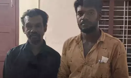 wild elephant attack