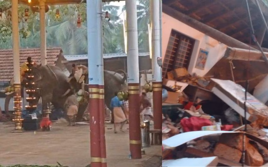 koyilandi elephant mishap