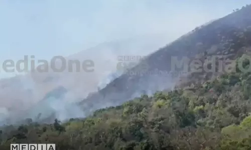 പഞ്ചാരകൊല്ലിക്ക് സമീപം കമ്പമലയിൽ വീണ്ടും കാട്ടുതീ