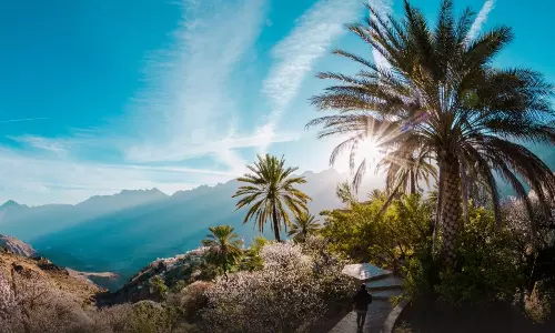 ശൈത്യകാലത്തും മികച്ച സൂര്യപ്രകാശം ലഭിക്കുന്ന 29 ഡെസ്റ്റിനേഷനുകളിൽ ഇടം പിടിച്ച് ഒമാൻ
