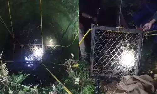 പാലക്കാട് നെല്ലിയാമ്പതിയില്‍ കിണറ്റില്‍ അകപ്പെട്ട പുലിയെ കൂട്ടില്‍ കയറ്റി