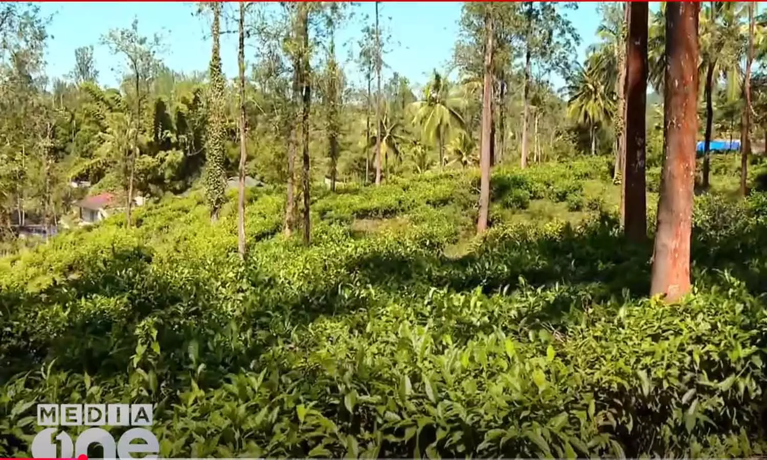 മുണ്ടക്കൈ ടൗൺഷിപ്പ്; എൽസ്റ്റൺ എസ്റ്റേറ്റിലെ തൊഴിലാളികളോട് രണ്ടുദിവസത്തിനകം ഒഴിഞ്ഞു പോകാൻ നോട്ടീസ്