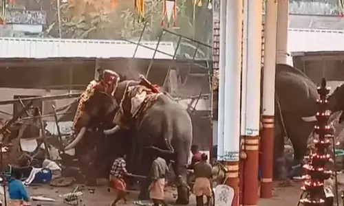 കൊയിലാണ്ടിയിൽ ആന ഇടഞ്ഞ സംഭവം: ഇടച്ചങ്ങല ഇല്ലാതിരുന്നതും തുടർച്ചയായ വെടിക്കെട്ടും അപകടത്തിന് കാരണം; അന്തിമ റിപ്പോർട്ട് സമർപ്പിച്ചു