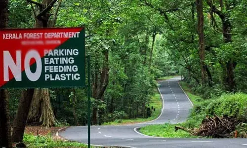 ആധുനികവത്ക്കരണത്തിന് വനംവകുപ്പിന് 3.72 കോടി രൂപ അനുവദിച്ചു