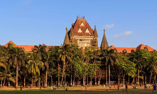 തന്റെ പ്രവർത്തികളുടെ അർത്ഥമറിയാനുള്ള കാര്യശേഷി പെൺകുട്ടിക്കുണ്ട്; പോക്‌സോ കേസിൽ പ്രതിക്ക് ജാമ്യം അനുവദിച്ച് ബോംബെ ഹൈക്കോടതി