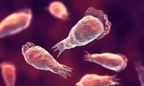 കോഴിക്കോട് അമീബിക് മസ്തിഷ്ക ജ്വരം ബാധിച്ച് യുവതി മരിച്ചു