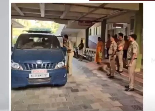 bee attack kozhikode