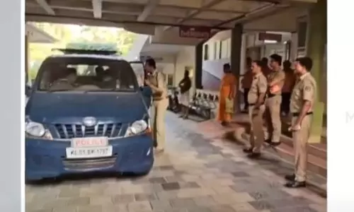 bee attack kozhikode