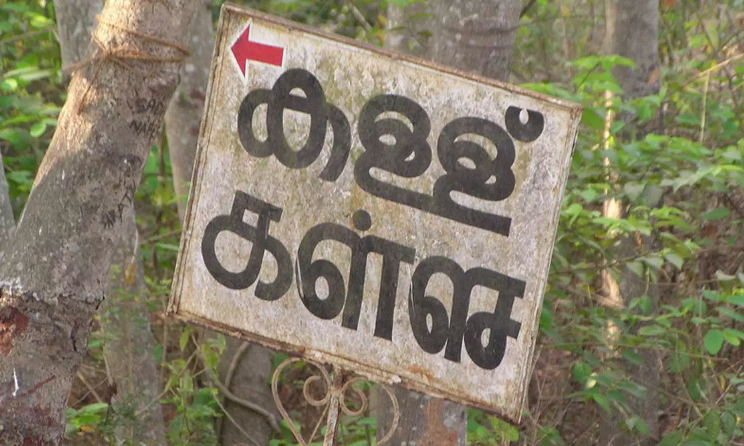 ചിറ്റൂരിൽ കള്ളിൽ ചുമമരുന്നിന്റെ സാന്നിധ്യം ചിറ്റൂരിൽ കള്ളിൽ ചുമമരുന്നിന്റെ സാന്നിധ്യം