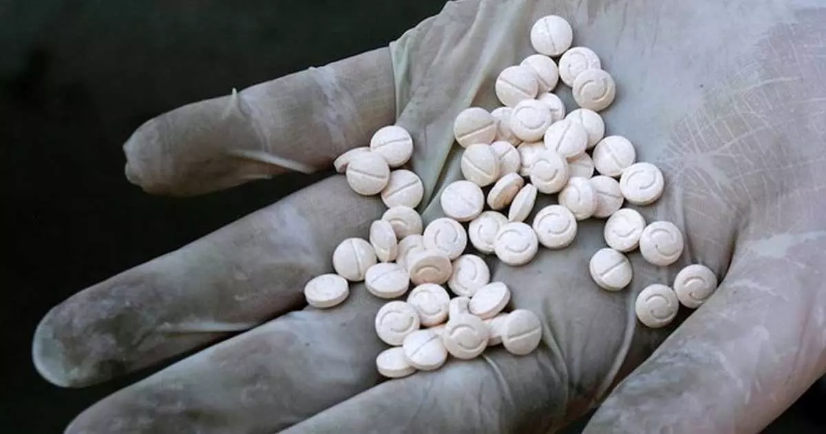 സൗദിയിലേക്ക് മയക്ക് മരുന്ന് ഗുളികകൾ കടത്താനുള്ള നാല് ശ്രമങ്ങൾ തടഞ്ഞു. സൗദിയിലേക്ക് മയക്ക് മരുന്ന് ഗുളികകൾ കടത്താനുള്ള നാല് ശ്രമങ്ങൾ തടഞ്ഞു.