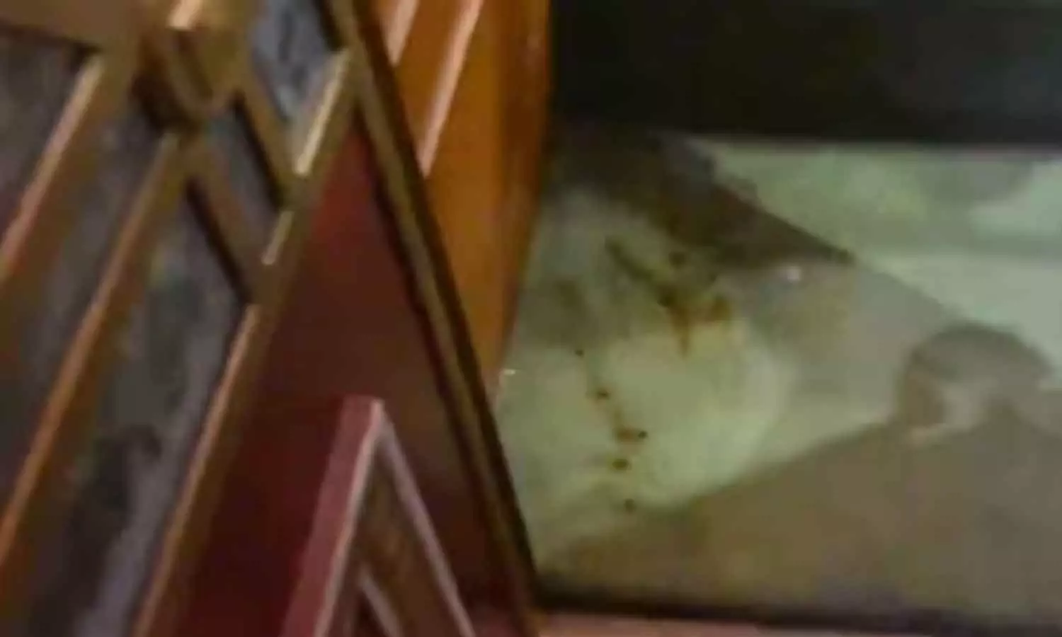 Gutka, paan masala banned inside UP Assembly after spitting incident Gutka, paan masala banned inside UP Assembly after spitting incident