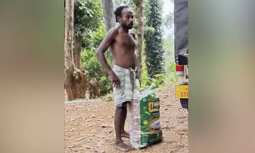 നിലമ്പൂരിൽ തേൻ ശേഖരിക്കുന്നതിനിടെ ആദിവാസി യുവാവ് മരത്തിൽ നിന്ന് വീണ് മരിച്ചു