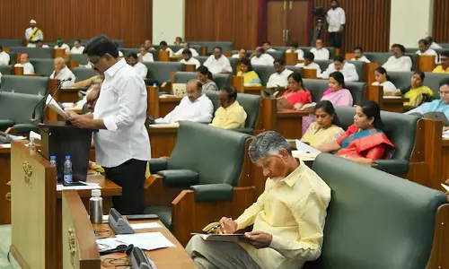 Andhra Pradesh Assembly ,Andhra news ,MLA,