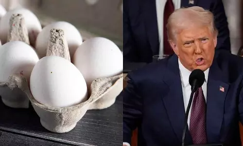 അമേരിക്കയില്‍ മുട്ടയൊന്നിന് 36 രൂപ! വില കൂടാൻ കാരണം ബൈഡനെന്ന് ട്രംപ്; ചർച്ച