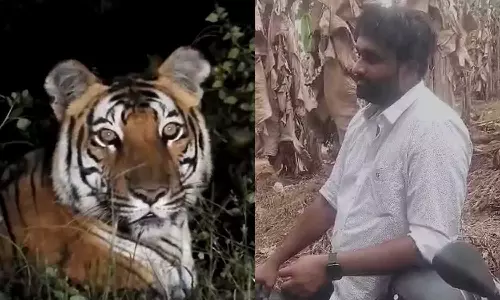 Fake news,Malappuram, tiger ,breaking news malayalam,kerala news,