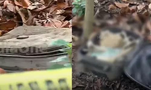 kollam,kerala,latest malayalam news,news updates malayalam,crime news,കൊല്ലം