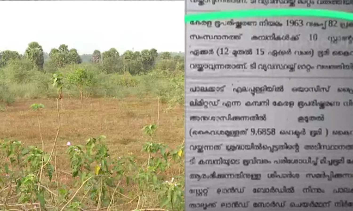 എലപ്പുള്ളി ബ്രൂവറി; ഒയാസിസിനെതിരെ  മിച്ചഭൂമി കേസെടുക്കുമെന്ന്  റവന്യൂ വകുപ്പ്
