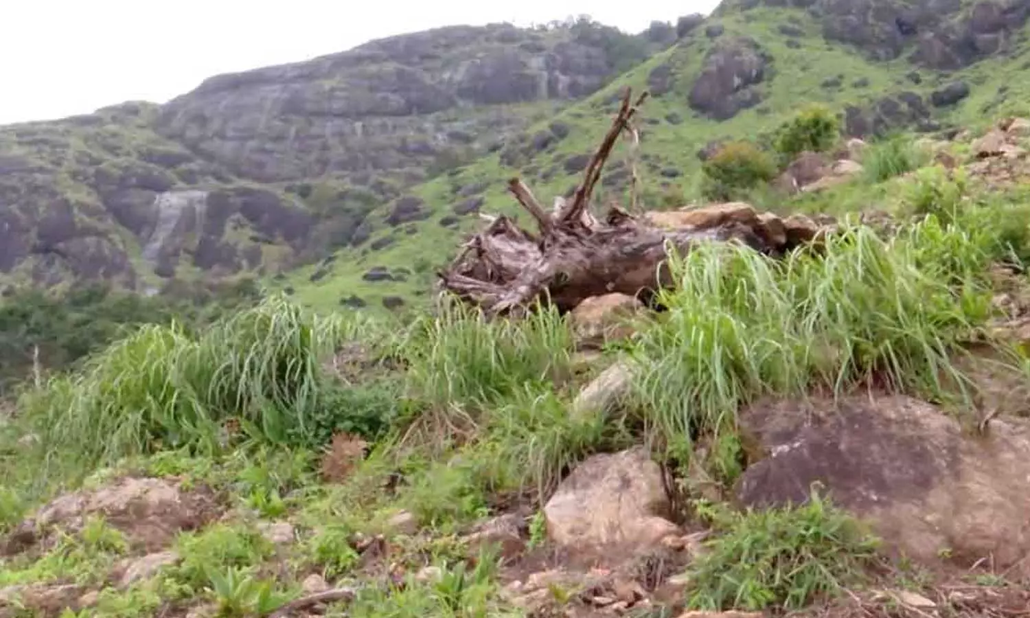 ചൊക്രമുടി ഭൂമി കയ്യേറ്റം: നാല് പട്ടയങ്ങൾ റവന്യു വകുപ്പ് റദ്ദാക്കി ചൊക്രമുടി ഭൂമി കയ്യേറ്റം: നാല് പട്ടയങ്ങൾ റവന്യു വകുപ്പ് റദ്ദാക്കി