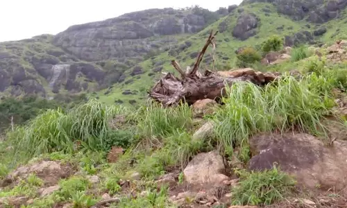 ചൊക്രമുടി ഭൂമി കയ്യേറ്റം: നാല് പട്ടയങ്ങൾ റവന്യു വകുപ്പ് റദ്ദാക്കി