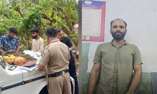 Two Youths Arrested with Ganja from Nedumbassery and Kozhikode