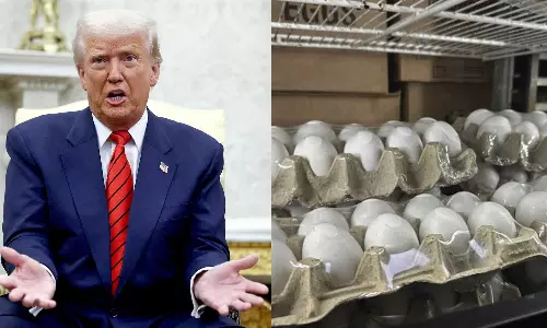 മുട്ട തരുമോ? ഇല്ലെന്ന് ഫിൻലാൻഡ്: മുട്ട വിലവർധനവിൽ പെട്ട് അമേരിക്ക; ട്രംപിന് വിമർശനം