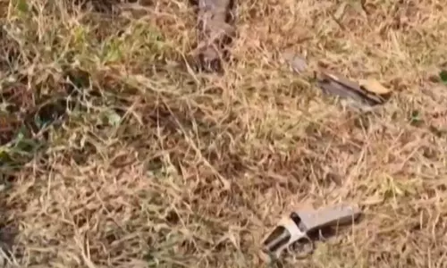 കണ്ണൂർ ആറളം ഫാമിൽ നാടൻ തോക്ക് കണ്ടെത്തി