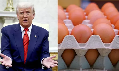 യുഎസിൽ മുട്ട ക്ഷാമം രൂക്ഷം: ഫിൻലാൻഡിന് പിന്നാലെ ലിത്വാനിയയെ സമീപിച്ച് ട്രംപ്