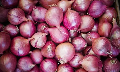 onion prices drops centre removers export duty