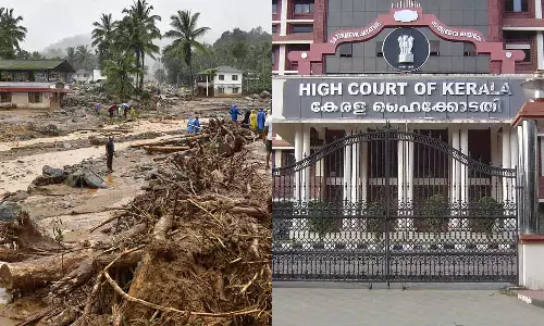 No stay on Mundakai rehabilitation land acquisition High Court rejects Harrisons Appeal