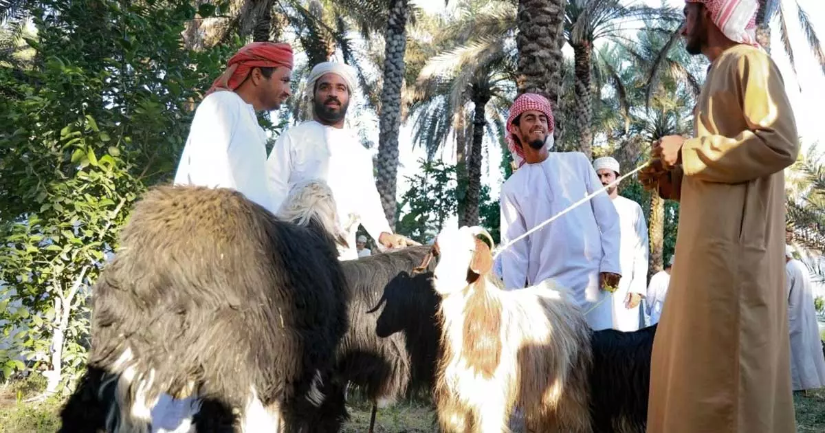 പെരുന്നാൾ അടുത്തതോടെ ഒമാനിലെ വിവിധ ​ഗവർണറേറ്റുകളിൽ ഈദ് ഹബ്തകൾ ഉയർന്നു തുടങ്ങി