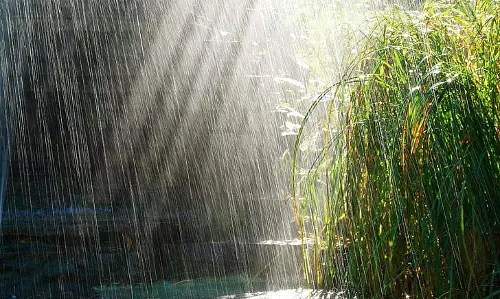 summer rain