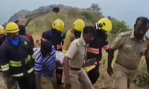 ഗൂഢല്ലൂരിൽ വിനോദയാത്ര സംഘത്തിന് നേരെ കടന്നൽ ആക്രമണം; മലയാളി മരിച്ചു