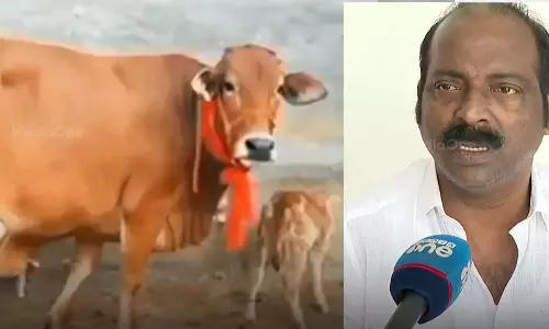 യൂട്യൂബ് പരസ്യം കണ്ട് 10 പശുക്കളെ ഓർഡർ ചെയ്തു;  മുൻ പ്രവാസിക്ക് നഷ്ടമായത് ഒരു ലക്ഷം രൂപ