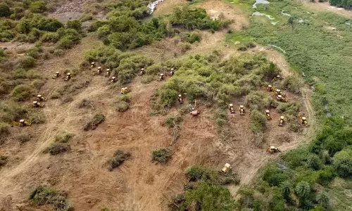 ലേല പദ്ധതി ഉപേക്ഷിച്ചു; കാഞ്ച ഗച്ചിബൗളി ഇക്കോ പാര്‍ക്കായി മാറും