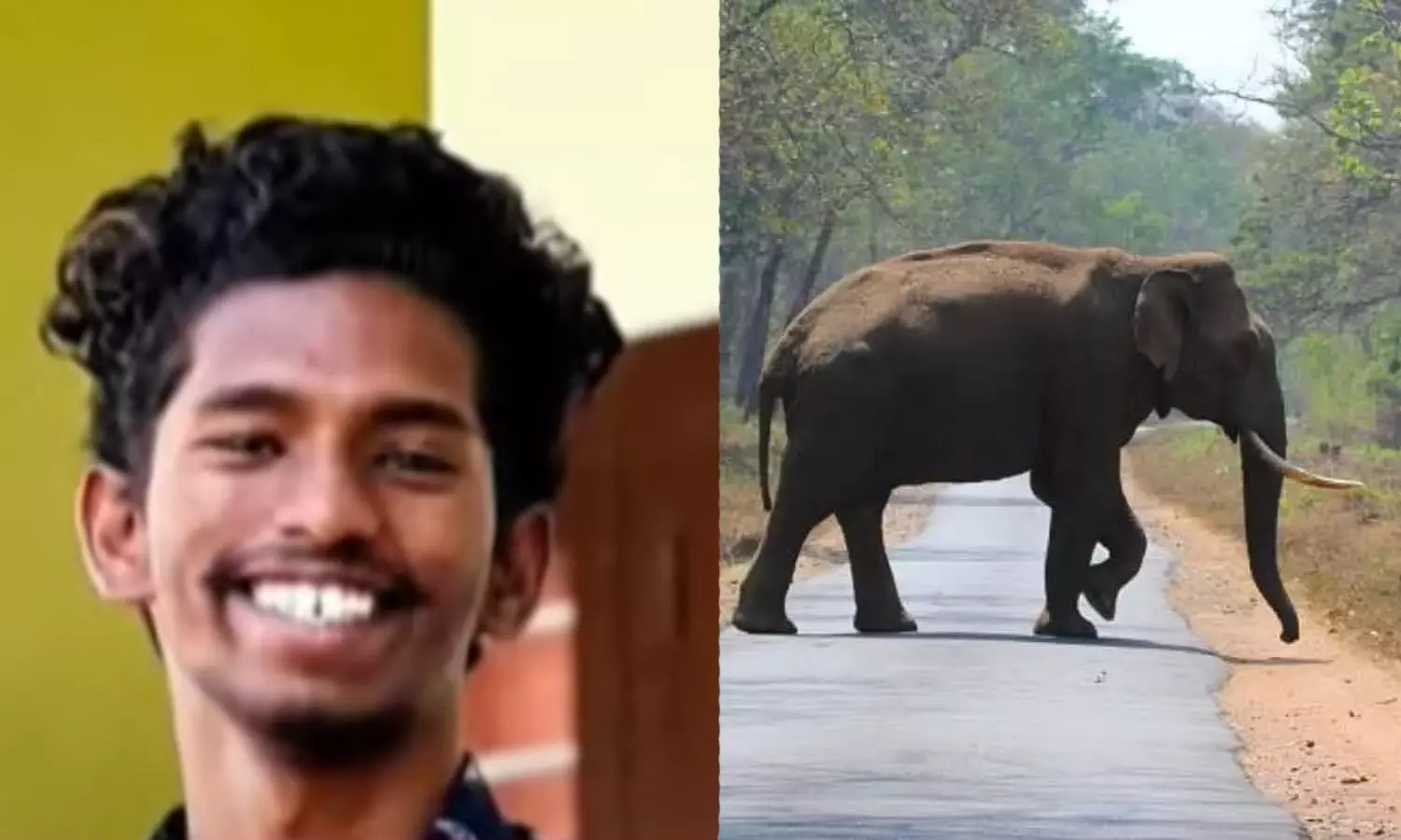 ദിവസങ്ങളായി നിലയുറപ്പിച്ച കാട്ടാനകളെ പറ്റി വിവരം നൽകിയില്ലെന്ന് നാട്ടുകാർ; മുണ്ടൂരിൽ ഇന്ന് സിപിഎം ഹര്ത്താല് ദിവസങ്ങളായി നിലയുറപ്പിച്ച കാട്ടാനകളെ പറ്റി വിവരം നൽകിയില്ലെന്ന് നാട്ടുകാർ; മുണ്ടൂരിൽ ഇന്ന് സിപിഎം ഹര്ത്താല്