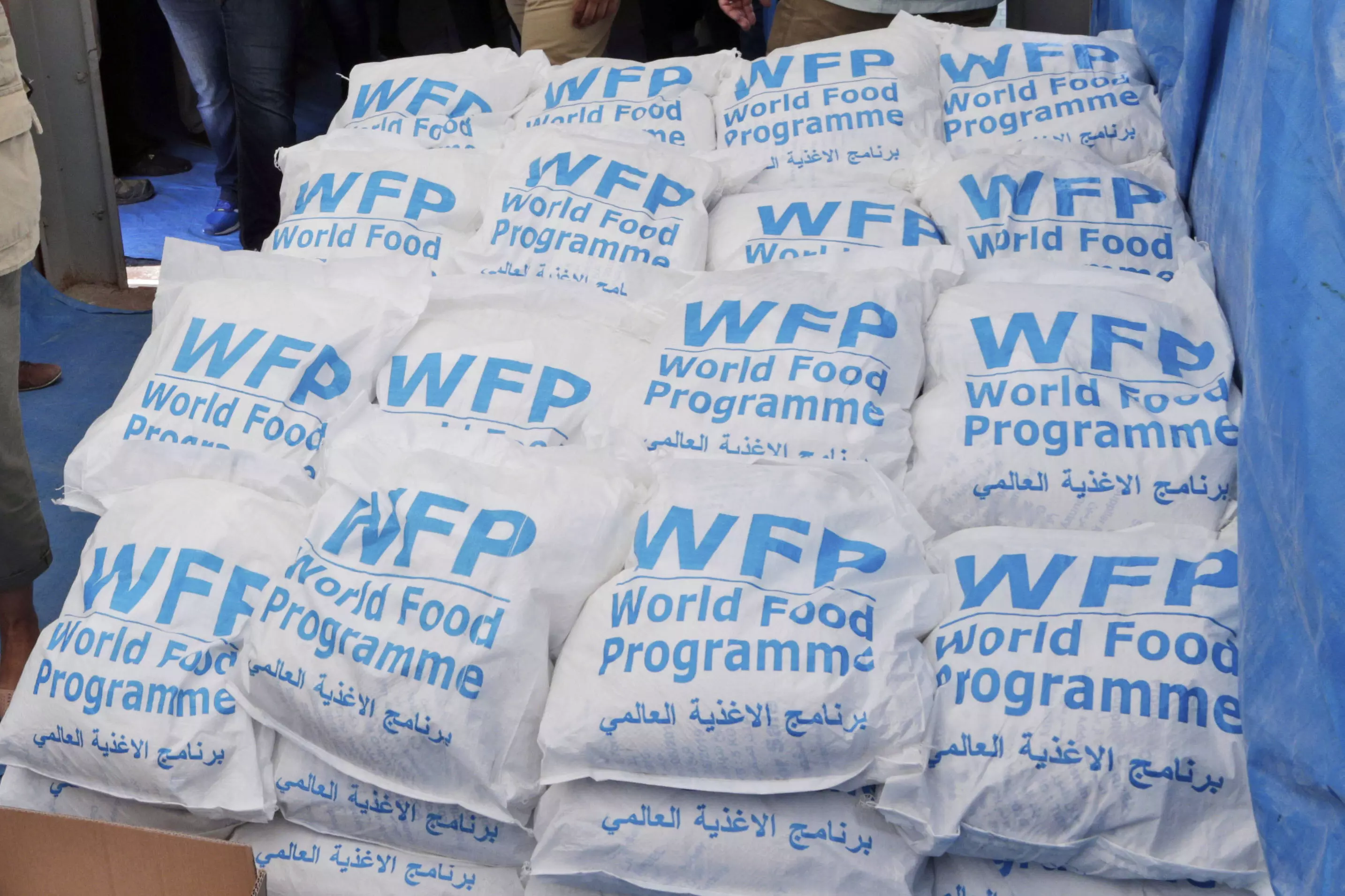 WFP WFP