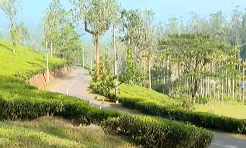 മുണ്ടക്കൈ-ചൂരൽമല പുനരധിവാസം: എൽസ്റ്റൺ ഭൂമി ഔദ്യോഗികമായി ഏറ്റെടുത്ത് സർക്കാർ