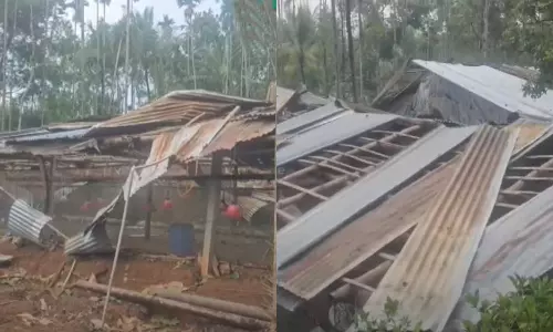 Wayanad suffers extensive damage due to heavy rain and wind