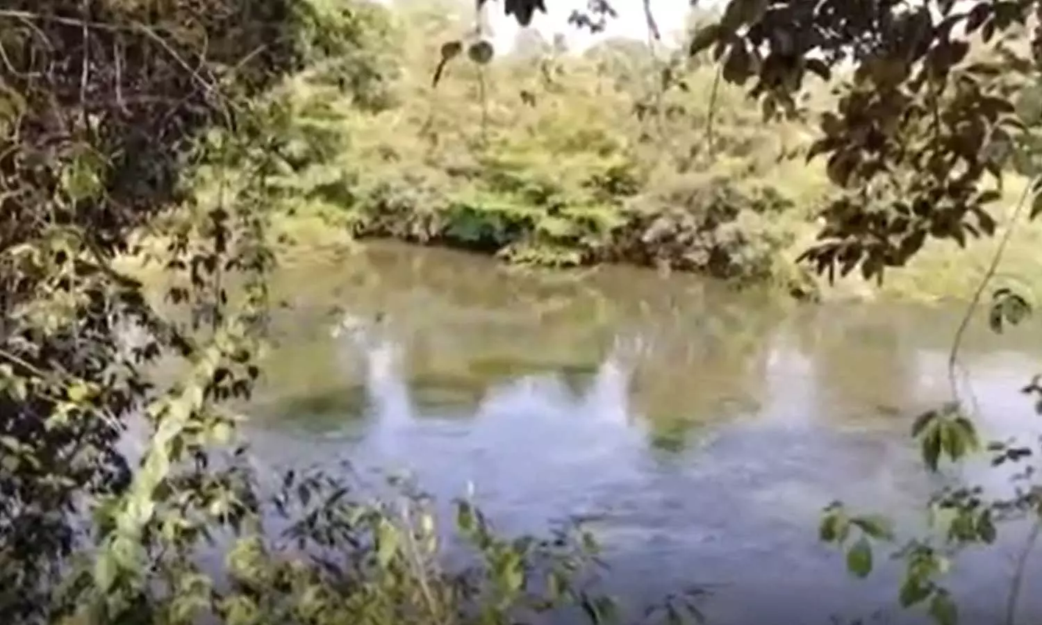 Mother and children jump into river in Kottayam, dies Mother and children jump into river in Kottayam, dies