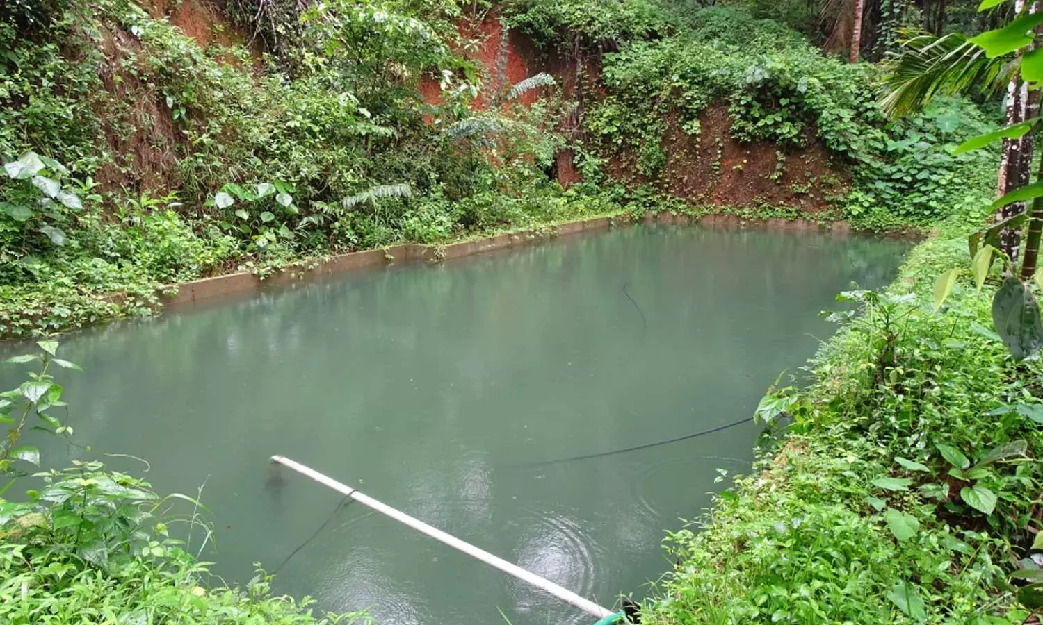 Farmer dies after falling into pond in Idukki Farmer dies after falling into pond in Idukki