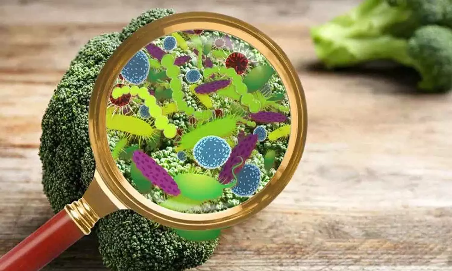 എറണാകുളത്ത് ഭക്ഷ്യവിഷബാധ; ബംഗാൾ സ്വദേശികളായ 16 പേർ ചികിത്സയിൽ