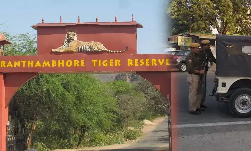 Forest Guard Thrashed For Attempting To Rape Minor In Rajasthan