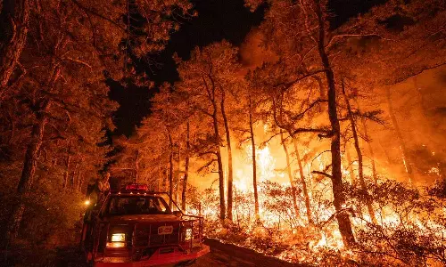 ന്യൂജേഴ്‌സിയില്‍ കാട്ടുതീ; 1200 ഏക്കര്‍ വനപ്രദേശം  കത്തിനശിച്ചു
