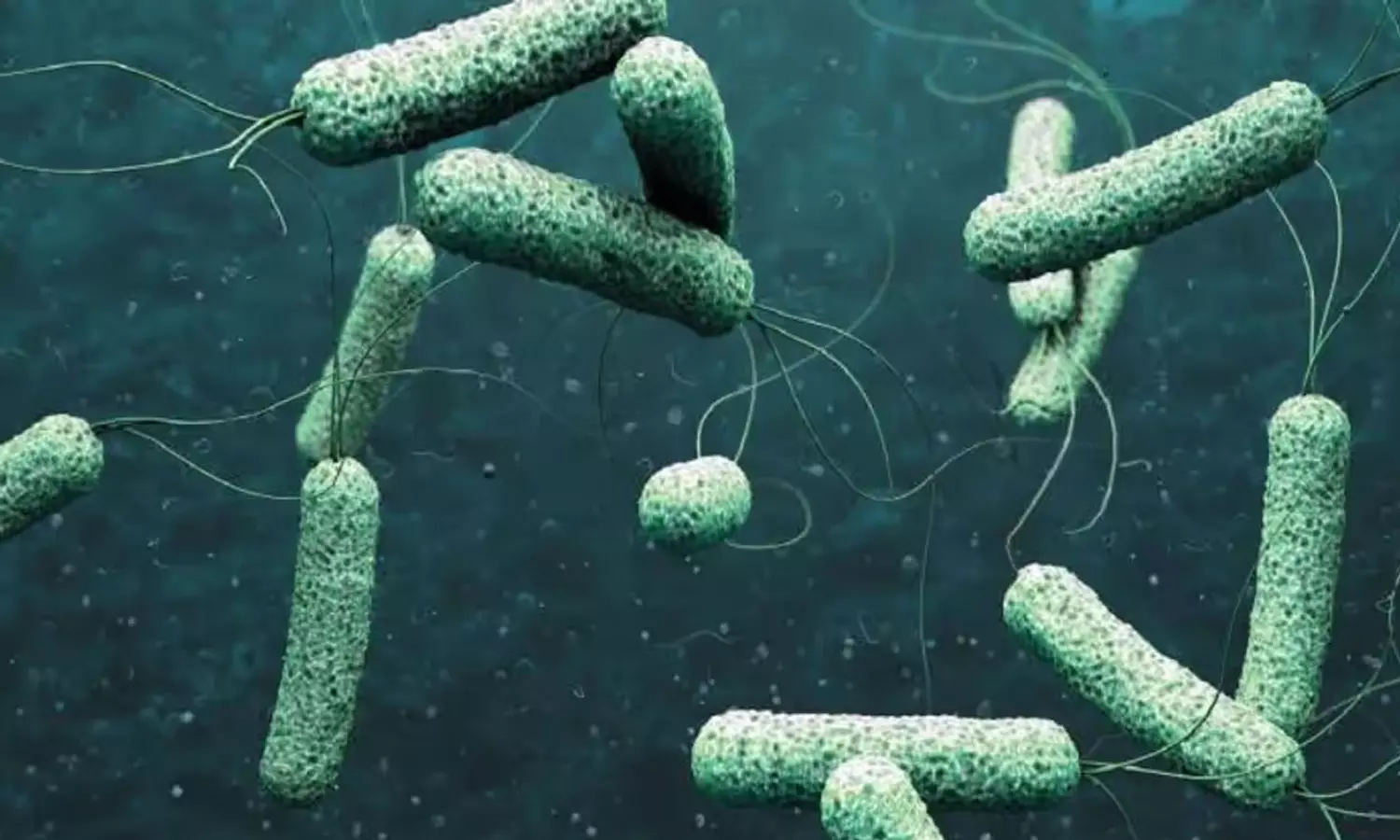 തിരുവനന്തപുരത്ത് കോളറ ബാധിച്ച് ഒരാൾ മരിച്ചു