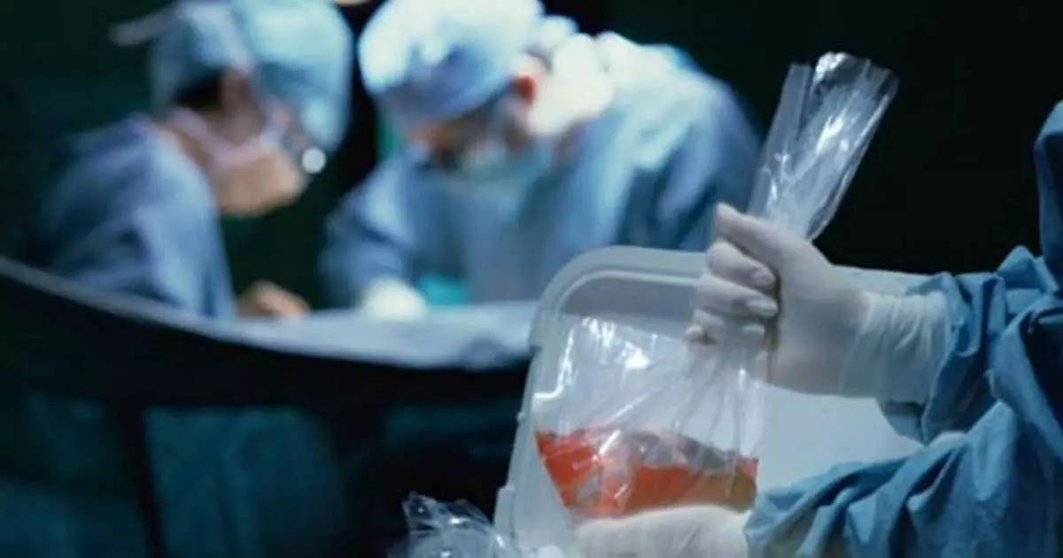 അവയവ ദാനം ചെയ്യുന്നവരെ ആദരിക്കാൻ ഒമാൻ അവയവ ദാനം ചെയ്യുന്നവരെ ആദരിക്കാൻ ഒമാൻ