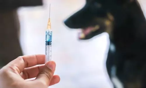 പ്രതിരോധ വാക്സിനെടുത്ത ശേഷവും പേവിഷബാധ; മലപ്പുറത്ത് അഞ്ചര വയസുകാരി ഗുരുതരാവസ്ഥയില്‍