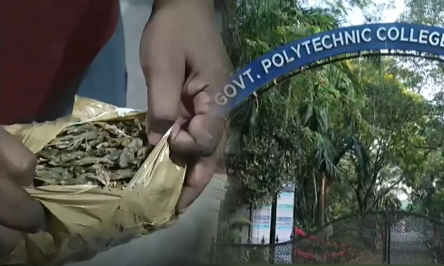 Four accused students expelled from college over Kalamassery Poly Ganja Case